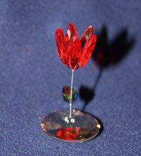 Swarovski wackelblume kim gebraucht kaufen  Regensburg