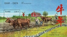 Aland 2020 2021 d'occasion  Lille-