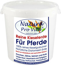 Kieselerde pferd reine gebraucht kaufen  Wegberg