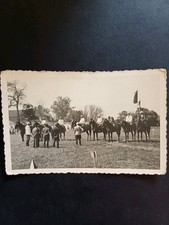 Zerbst turnier jockey gebraucht kaufen  Schönebeck (Elbe)
