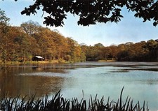 Clairmarais lac archelle d'occasion  Expédié en Belgium