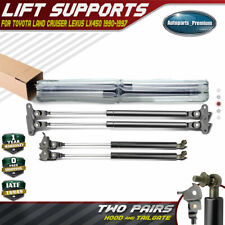 Hood tailgate lift for sale  USA