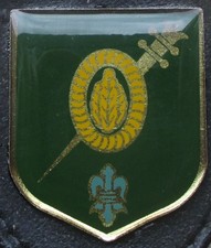 Brustanhänger verbandsabzeich gebraucht kaufen  Soderstorf
