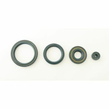 Athena kit paraolio usato  Tribogna