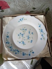 Assiette plate arcopal d'occasion  La Mothe-Achard