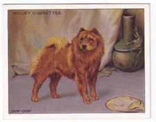 Chow chow vintage for sale  Saint Augustine