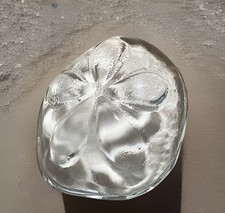 Phoenix glass studio for sale  Hot Springs National Park