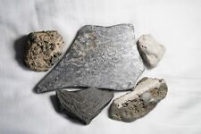 Corals crinoids fossil for sale  WASHINGTON