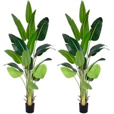 artificial tropical trees for sale artificial tropical trees for sale Ashford