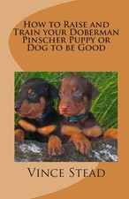 Raise train doberman for sale  UK