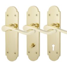 Polished brass door for sale  SUDBURY