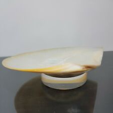 Mother pearl shell for sale  Racine