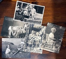 Cartoline principi sabaudi usato  Viu