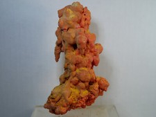Realgar pararealgar stalaktit gebraucht kaufen  Baienfurt