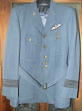 Ww2 raf wing for sale Ww2 raf wing for sale  UK