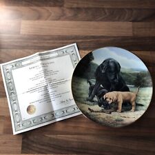 Franklin mint plate for sale  NEWCASTLE UPON TYNE
