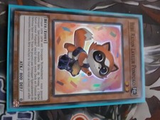 Bébé raton laveur d'occasion Bébé raton laveur d'occasion  Voiron