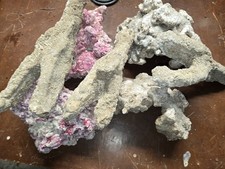 Dry rock fish for sale  Washington