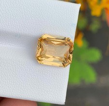 Natural Grossular Garnet – Octagonal Cut – Unheated – 6.75 ct – AIG Certified comprar usado  Enviando para Brazil