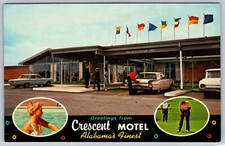 CARTÃO POSTAL CRESCENTE MOTEL FORD THUNDERBIRD PISCINA GOLFE DÉCADA DE 1960 DECATUR ALABAMA 2428 comprar usado  Enviando para Brazil