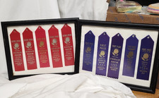 Vtg prize ribbons for sale  Portsmouth