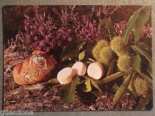 French gastronomy postcard d'occasion  Expédié en Belgium