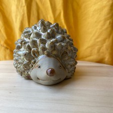 Small garden hedgehog for sale  WEDMORE
