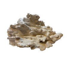 Natural genuine blue for sale  Florala