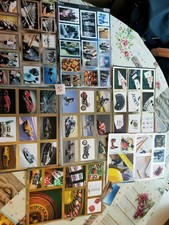 mens card toppers for sale mens card toppers for sale LONDON
