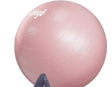 Exercise ball pregnancy for sale  Scottsdale