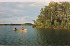 Scenic silver canoe for sale  Wilmington