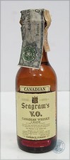Miniature mignon canadian usato  Romano di Lombardia