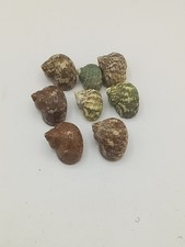 Lot small hermit for sale  Redford