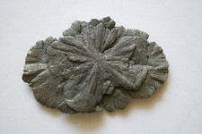 Pyrite sun pyrite for sale  Phoenix