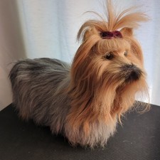 Yorkshire terrier dog for sale  Bronson