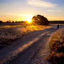 Lüneburger heide fintel gebraucht kaufen  Hamburg