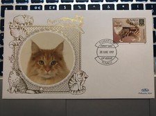 Benham cat pussy for sale  CHELMSFORD