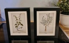 Ikea ribba bilder gebraucht kaufen  Wedemark