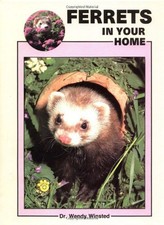 Ferrets home winsted for sale  UK