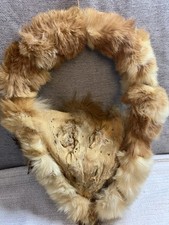 Taxidermied coyote pelt for sale  Milwaukee