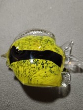 tropical fish angel fish for sale tropical fish angel fish for sale MACCLESFIELD