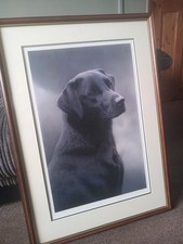 steven townsend for sale steven townsend for sale BECCLES