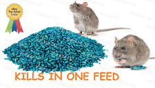 Rat mouse rodent for sale  LONDON