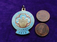 Masonic enamel medal for sale  BRIDGWATER