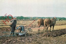 Picture postcard england for sale Picture postcard england for sale  NEWCASTLE UPON TYNE