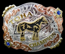 Tqha quarter horse for sale  Mayfield