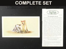 Top dogs player for sale Top dogs player for sale  BEXLEY