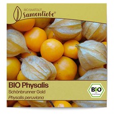 Bio physalis samen gebraucht kaufen  Worms