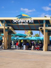 San diego sea for sale  Natick