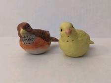 Brown robin yellow for sale  Warren